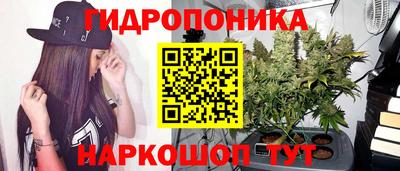 jwh Краснодар