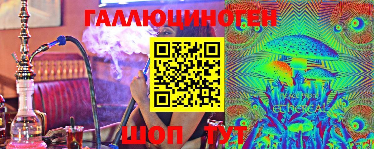 Псилоцибиновые грибы Psilocybe Кизляр
