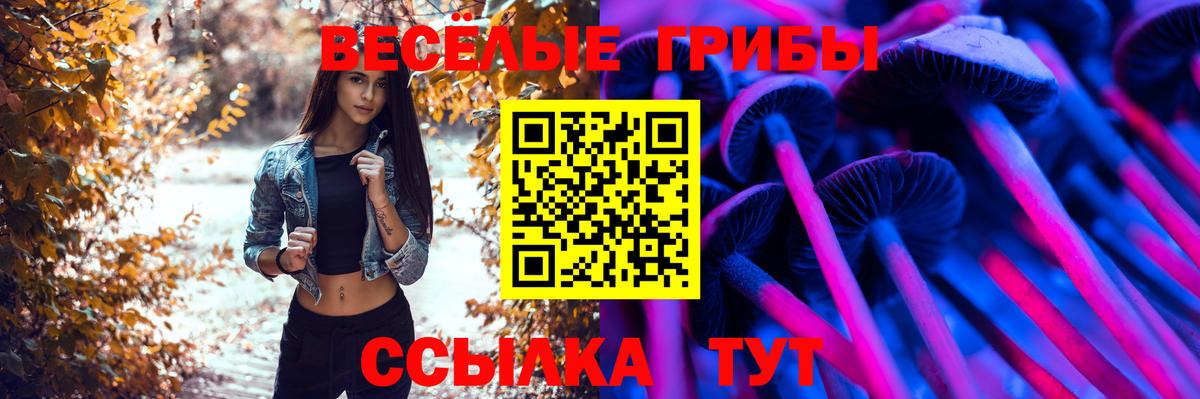 Галлюциногенные грибы ЛСД  Вход с VPN  Галлюциногенные грибы ЛСД  Кизляр 